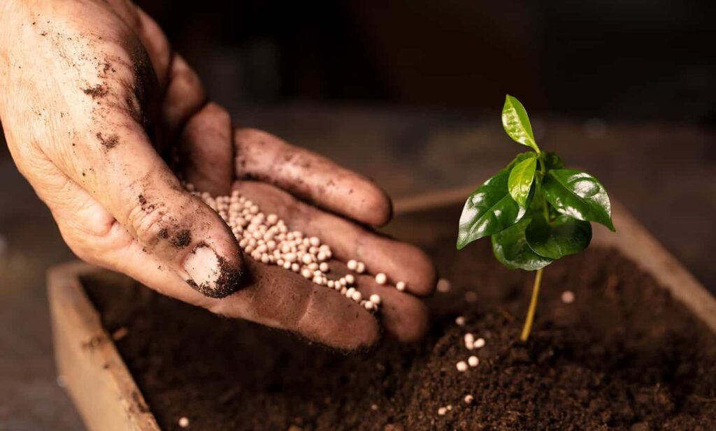 Эксперт Леонид Хазанов: «Из-за перекрытия Ормузского пролива без удобрений останутся самые бедные страны»