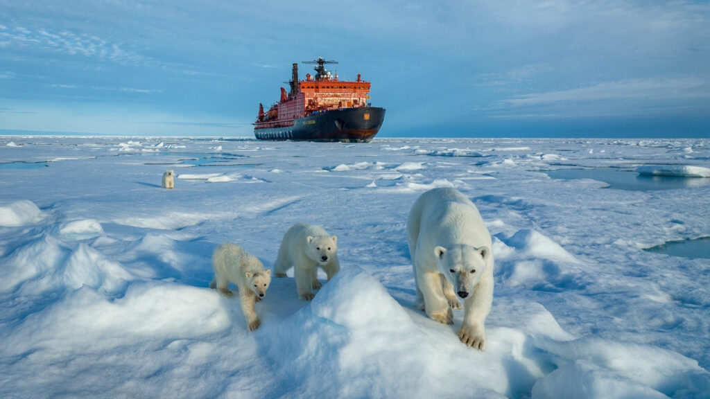 И трех миллионов рублей — мало: самый дорогой круиз   лета пройдет на Северный полюс