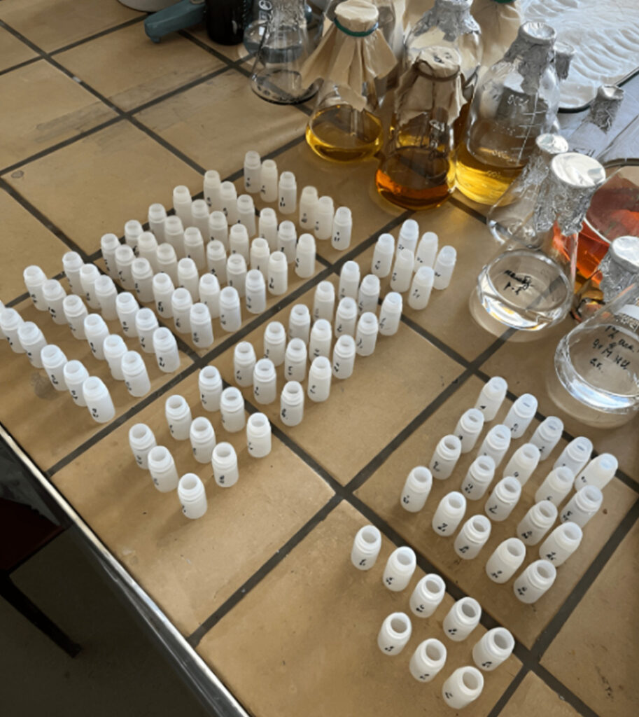 Фитаза из шламохранилища: специалисты  Пермского политеха разработали устойчивый ферментный комплекс для животноводства